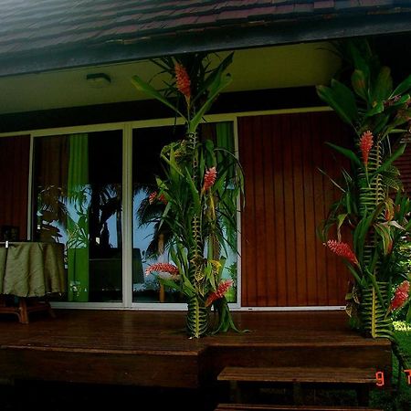 Tauhanihani Village Lodge La Vague Bleue Teahupoo Extérieur photo