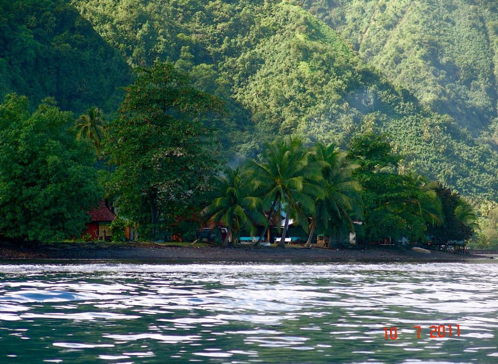 Tauhanihani Village Lodge La Vague Bleue Teahupoo Extérieur photo