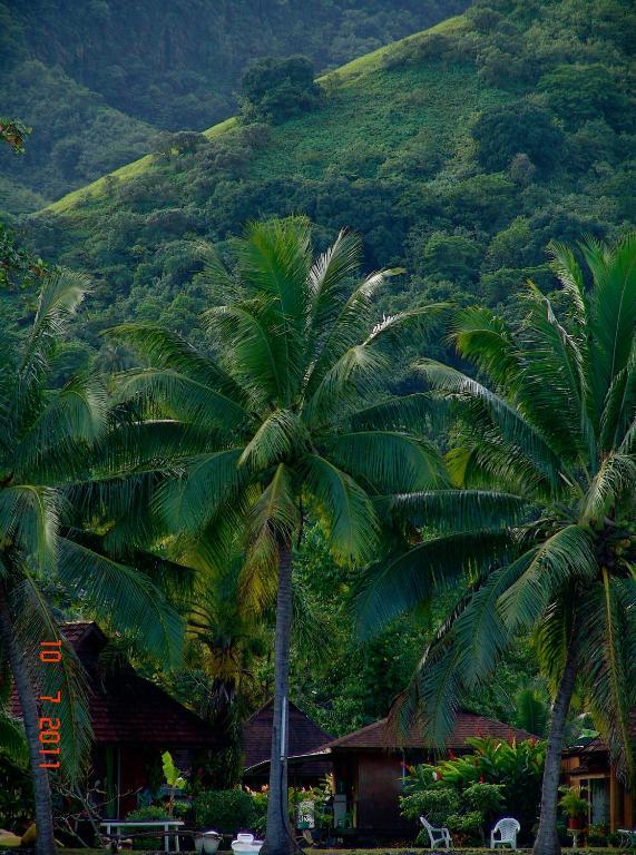 Tauhanihani Village Lodge La Vague Bleue Teahupoo Extérieur photo
